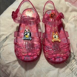 Bluey and Bingo Jellies (10)